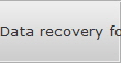 Data recovery for Royal Oak data